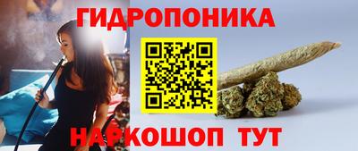 крисы Бузулук