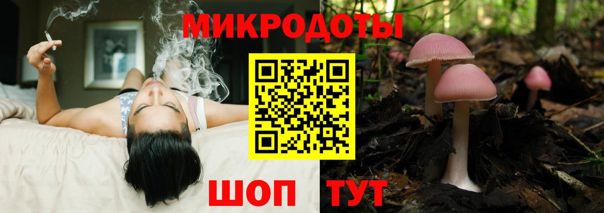 купить закладку  Галлюциногенные грибы мухоморы  Вход с VPN  Волхов 