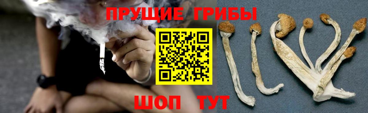 Псилоцибиновые грибы MAGIC MUSHROOMS Волхов